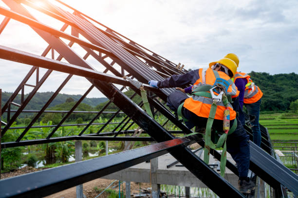 Best Commercial Roofing Services  in Park Falls, WI