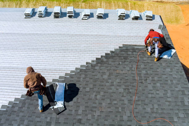 Best Roof Maintenance Services  in Park Falls, WI