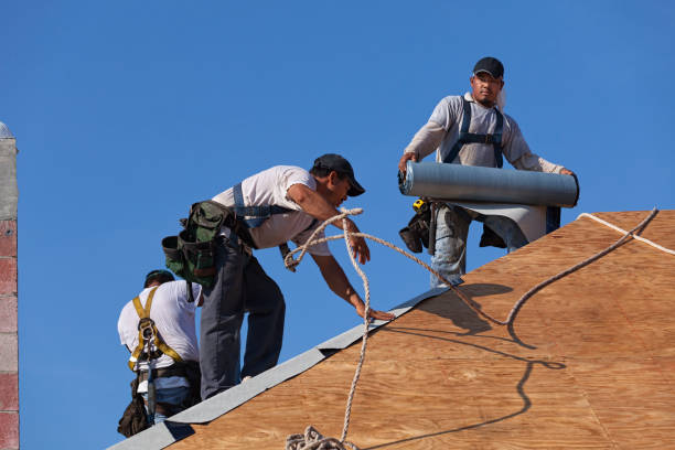 Best Gutter Installation and Roofing  in Park Falls, WI