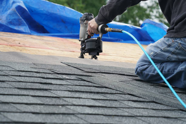 Best Commercial Roofing Services  in Park Falls, WI