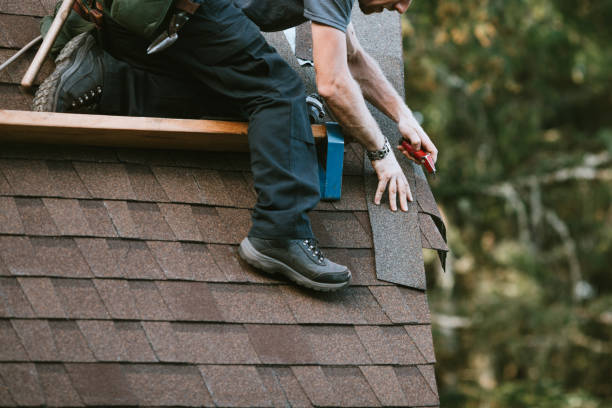 Best Residential Roofing Contractor  in Park Falls, WI