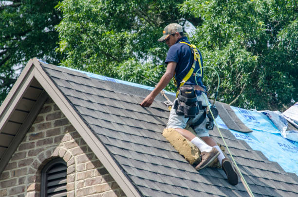 Roof Repair Estimates in Park Falls, WI